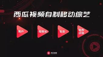 娱乐吃瓜单视频素材,吃瓜群众视角下的热门视频幕后故事