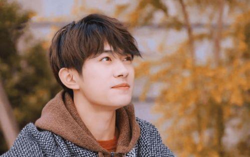 娱乐吃瓜酱许凯,娱乐吃瓜酱的甜蜜诱惑